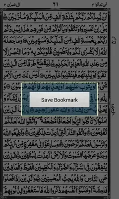 Holy Quran android App screenshot 9